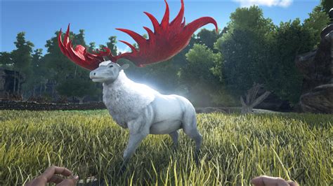 Ark Survival Evolved is available now on Xbox. . Ark megaloceros